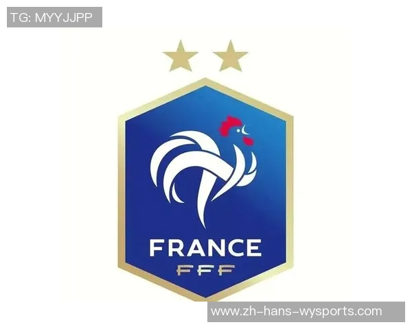 法国男子足球队的荣耀与挑战：追寻世界杯梦想的征程与展望